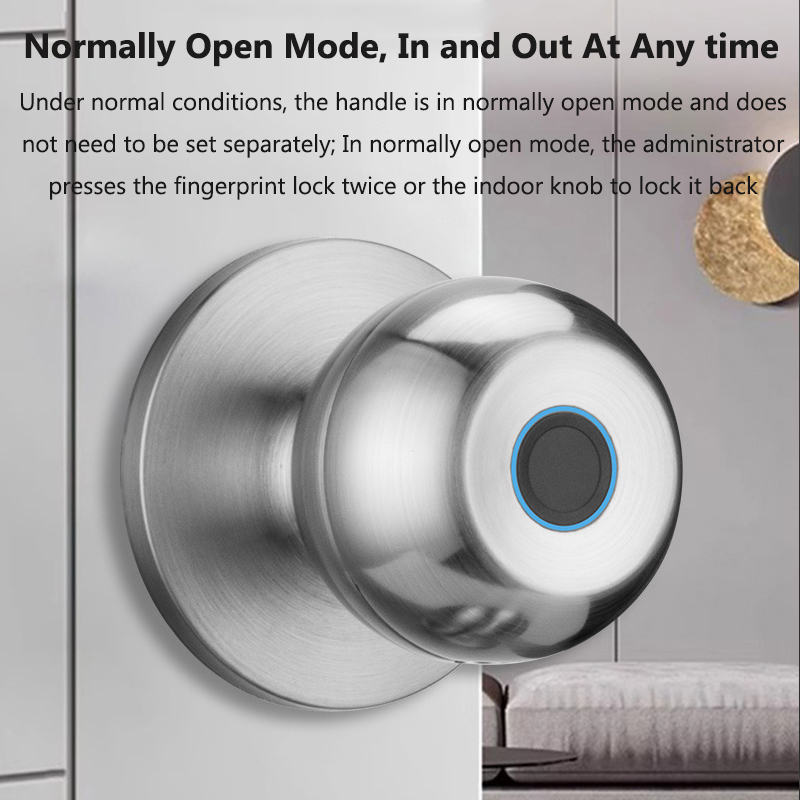 Tuya Door Lock Smart Fingerpri - Door Lock Smart Keypad review and price