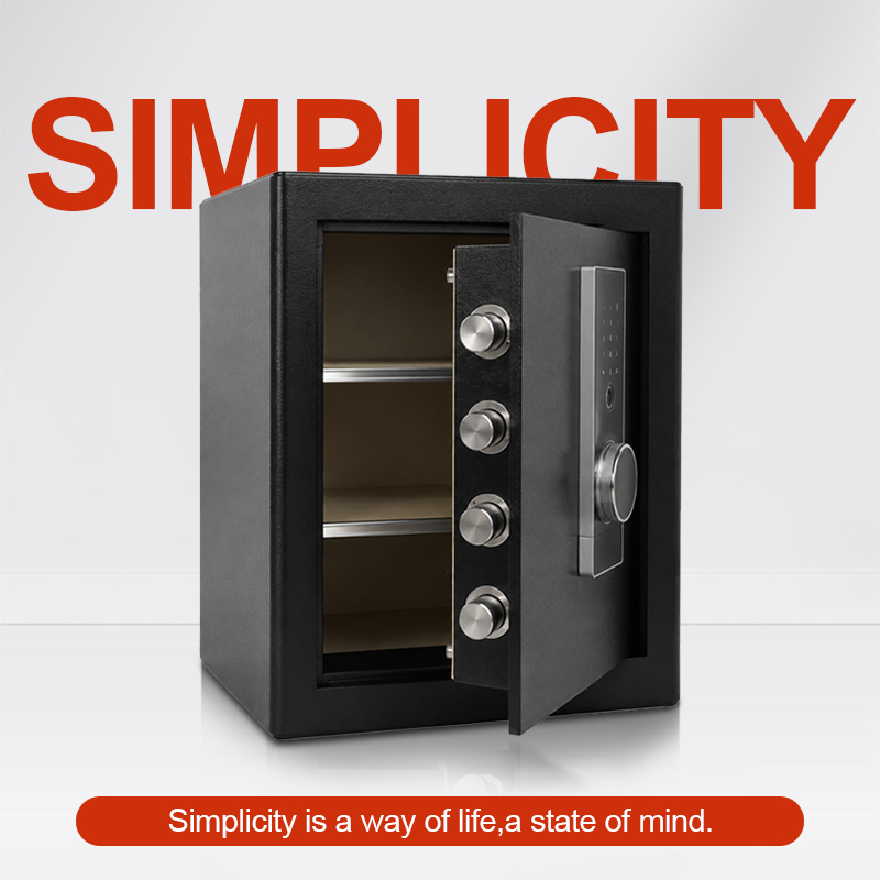 Biometric Fingerprint Safe Box - Home Security Safe review and price