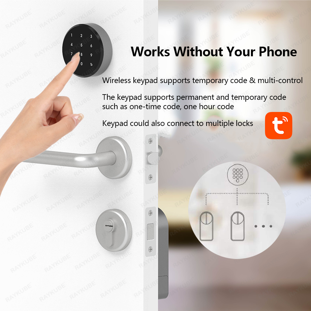 RAYKUBE A1 Pro Tuya BEL Smart  - Door Lock Smart Keypad review and price
