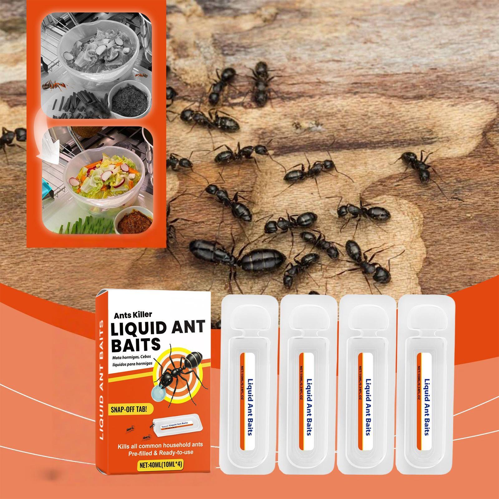 New Ant Bait Traps Indoor Ant  - Home Security Safe review and price