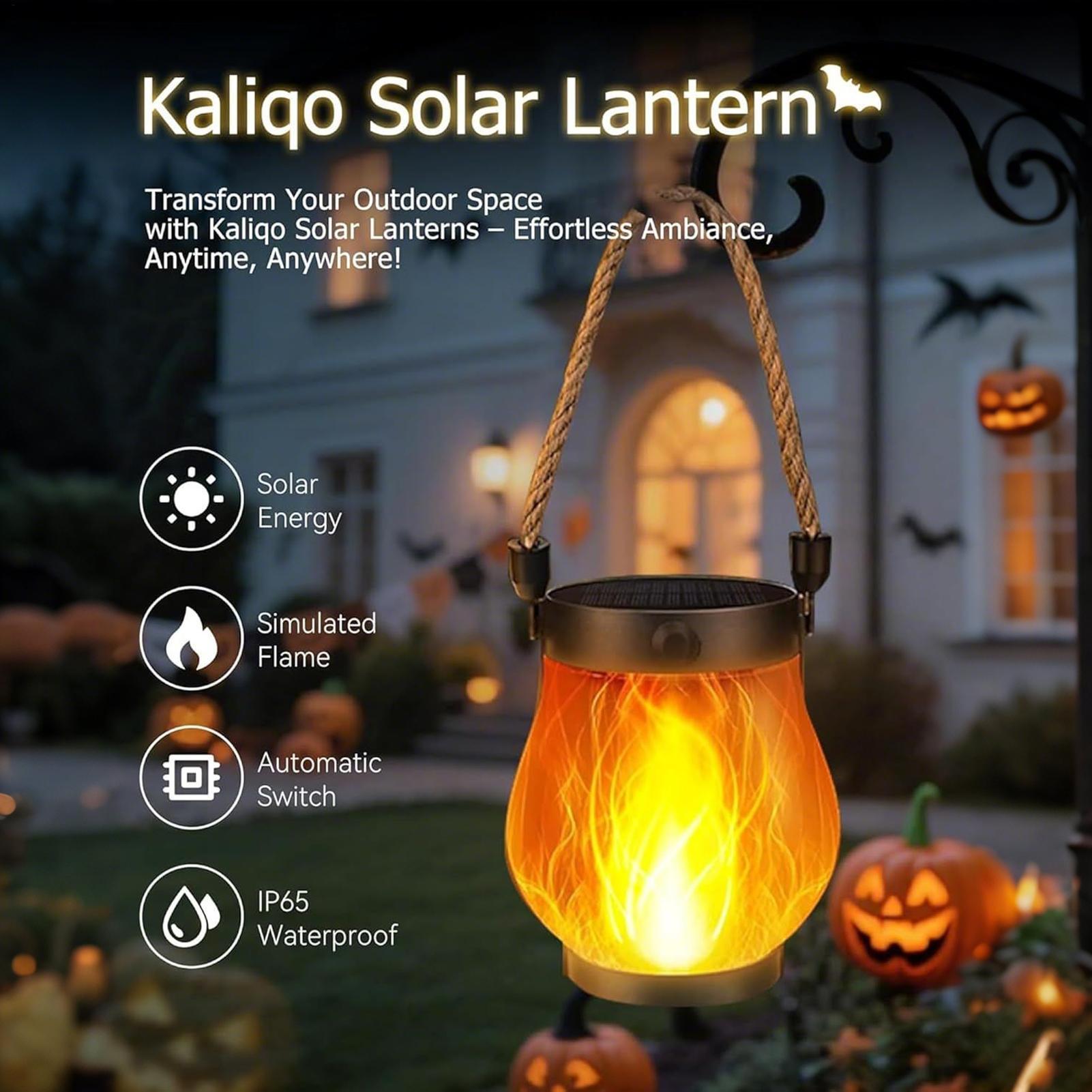 Solar Flickering Flame Lights  - Home Security Yard Sign review and price