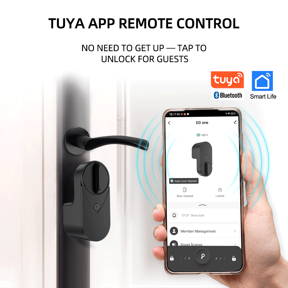 RAYKUBE EG One Tuya BLE Smart  - Home Security For Apartments review and price